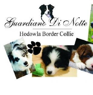 Guardiano Di Notte FCI