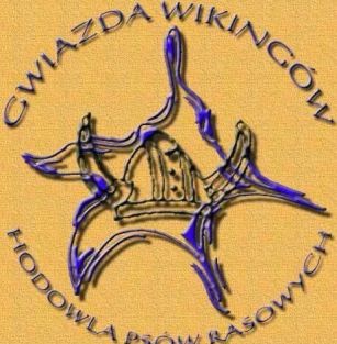 Gwiazda Wikingów 
