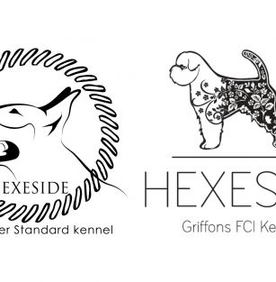 HEXESIDE FCI