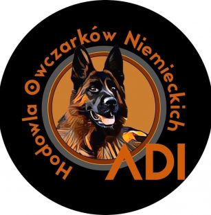 Hodowla owczarków niemieckich Adi 