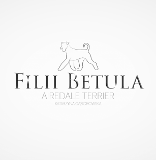 Hodowla Psów Rasowych Filii Betula Airedale Terrier