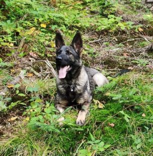 Hodowla Sądeckie Góry