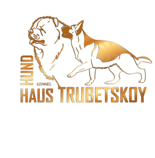 Hund Haus Trubetskoy