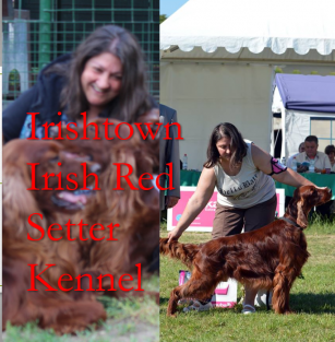 Irishtown kennel
