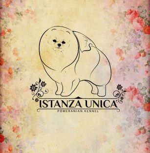 ISTANZA UNICA 
