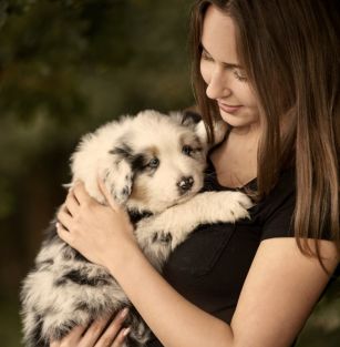 It’s My DreamLand FCI