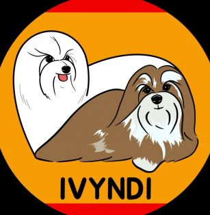 IVYNDI