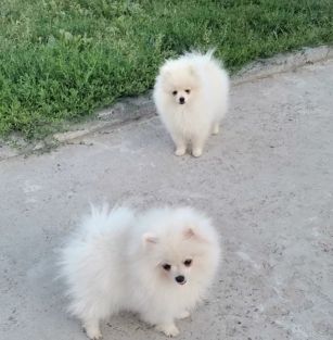 Из Аленкиной сказки