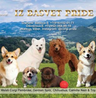 IZ BASVET PRIDE