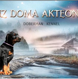 IZ DOMA AKTEONA 