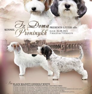 IZ DOMA PRONINYKH