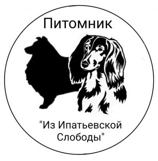 Из Ипатьевской Слободы