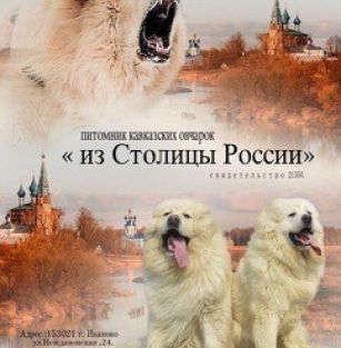 Из Столицы России