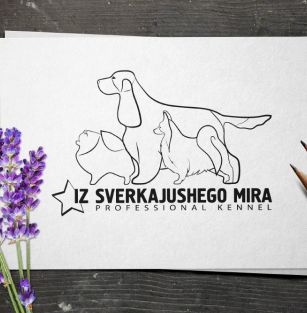 iz Sverkajushego Mira