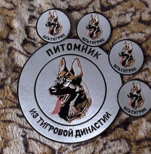 Из Тигровой Династии