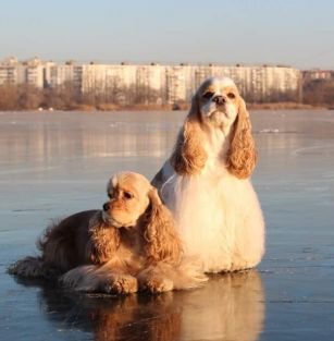 ИЗ ЦВЕТНОЙ АКВАРЕЛИ 