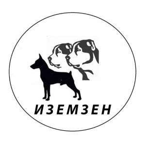 Izemzen 