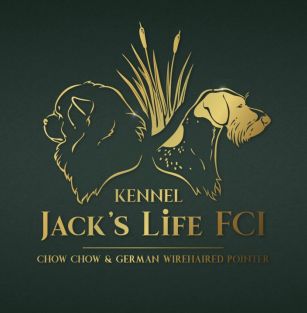 Jack's Life FCI 