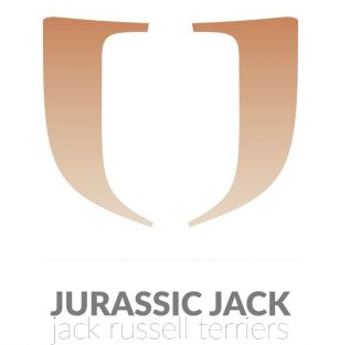 JURASSIC JACK FCI 