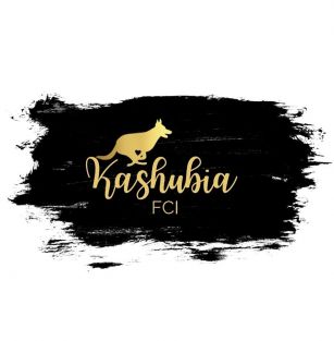 Kashubia FCI Hodowla Psów Rasowych