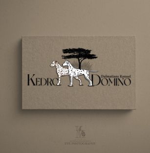 KEDRO DOMINO