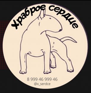 Храброе сердце 