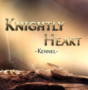Knightly Heart