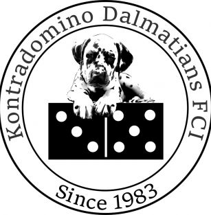 KONTRADOMINO FCI