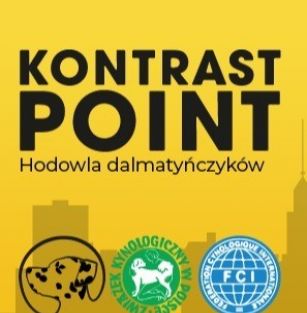 Kontrast Point ZKwP/FCI