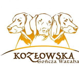 Kozłowska Gończa Wataha FCI 