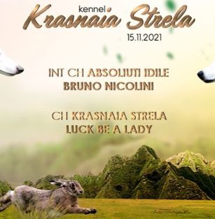 Krasnaya Strela