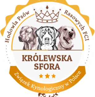 Królewska Sfora FCI