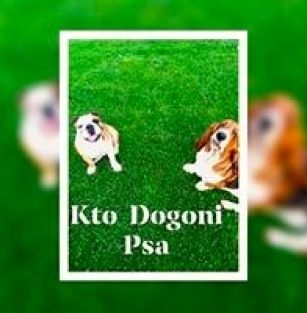 Kto Dogoni Psa 
