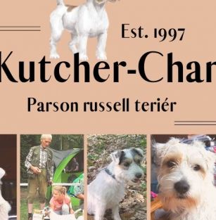 Kutcher-Chan