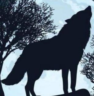 L' ululato del lupo di casa PANARITI 