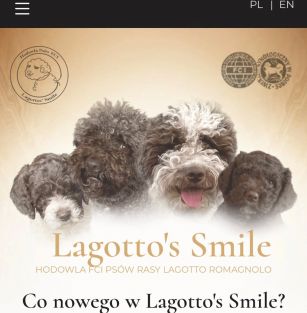 Lagotto’s Smile