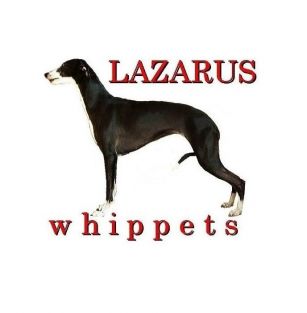 Lazarus