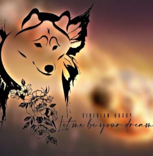 LET ME BE YOUR DREAM