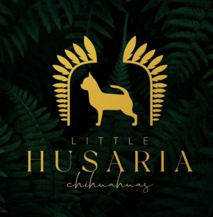 Little Husaria