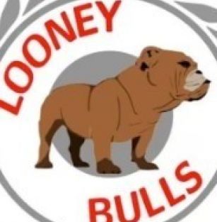 Looney bulls