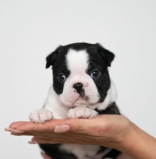 M Beacon Hill Kołobrzeg