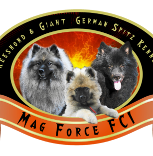 Mag Force FCI