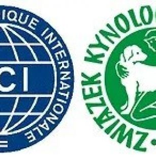 Magiczna Przystań FCI