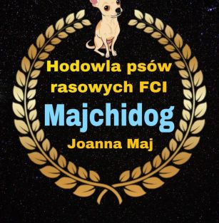 Majchidog