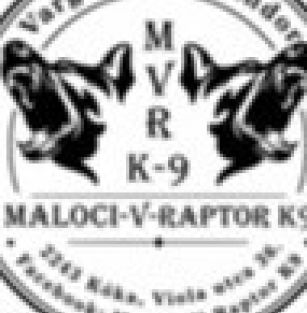 Maloci-V-Raptor K9