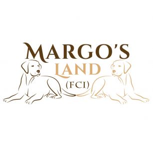 Margo's Land