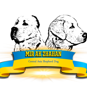 Mir Ak Zhahan