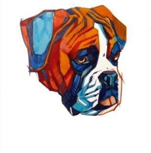 More than a Boxer FCI 