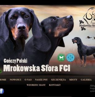 Mrokowska Sfora FCI