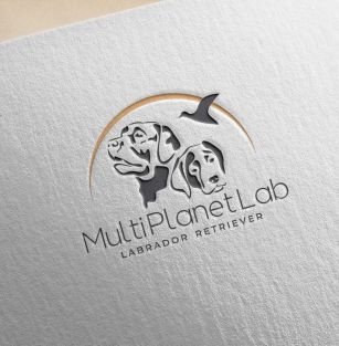 Multi Planet Lab FCI